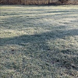 Meet your Posher, Justis eryn